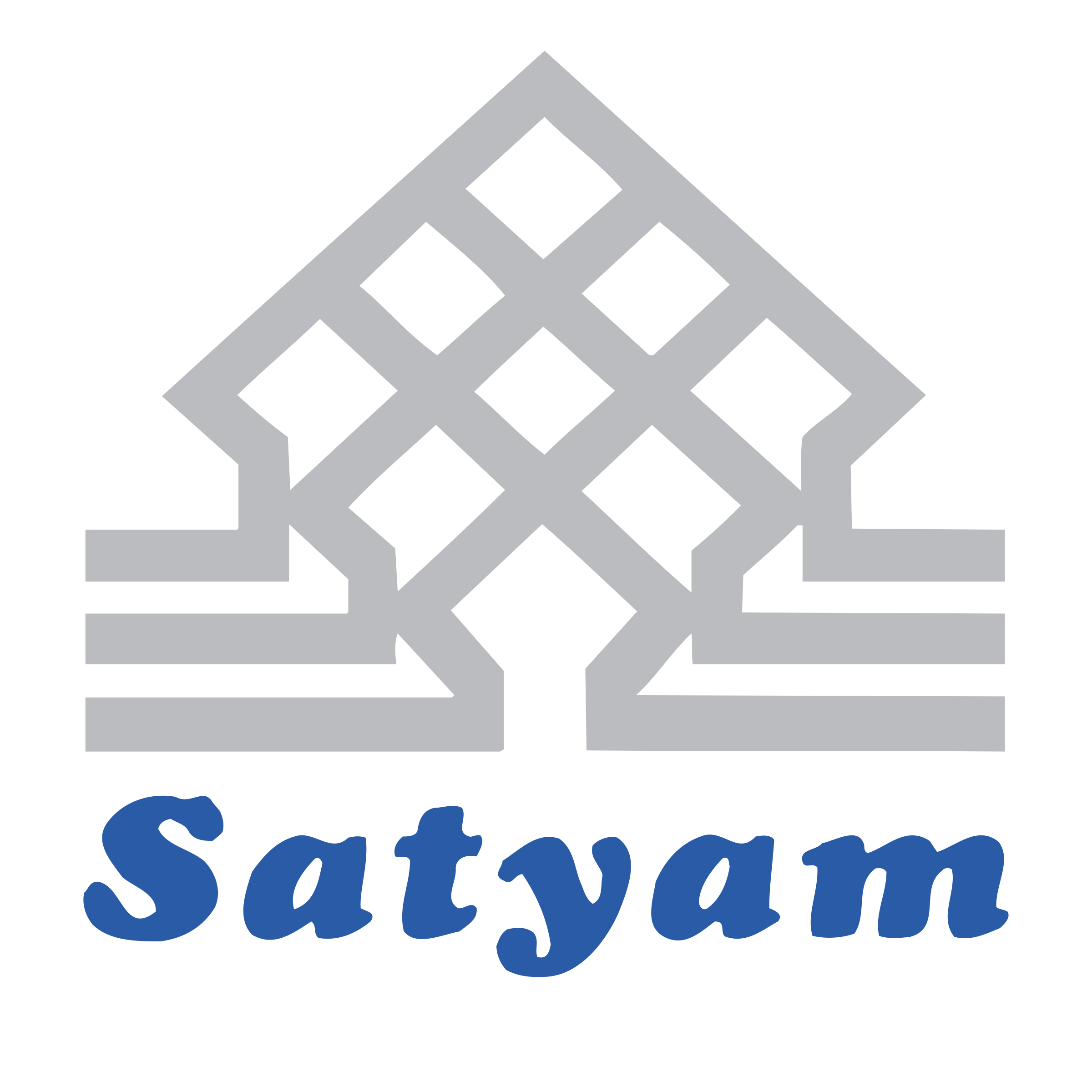 satyam-logo-png-transparent